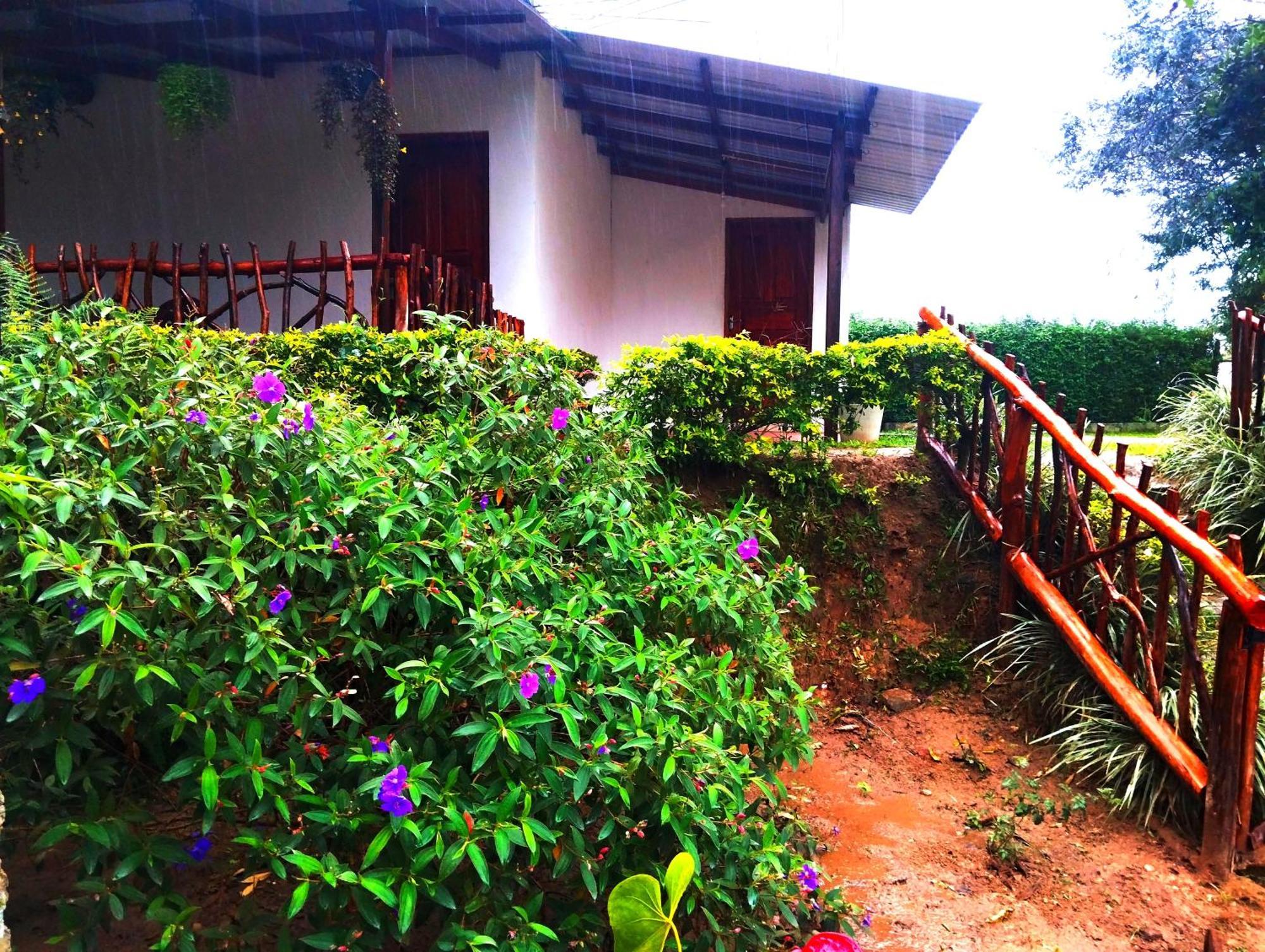 Ella Hotel Upper Hill Exterior foto