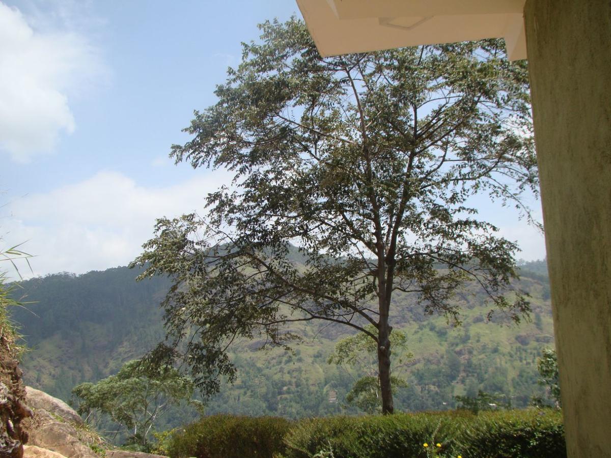 Ella Hotel Upper Hill Exterior foto